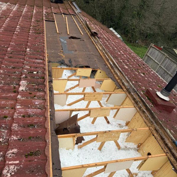 Park Home Shield (2)